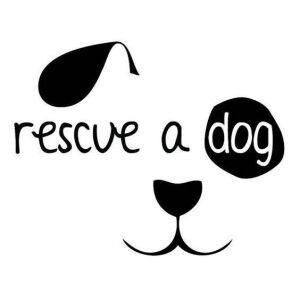 A Heart For Hart County Animal Rescue 5K logo