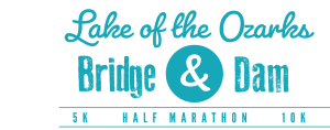 Bridge and Dam logo