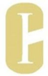 CATHEDRAL IRISH RUN logo