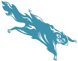 Flying Squirrel Ten Miler