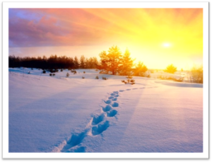 Frosty Footsteps (Free for ERR Members) - Frosty Footsteps (Free for ERR Members - discount will be applied)