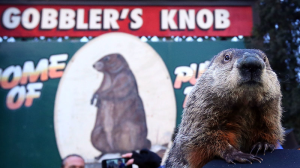 Groundhog Jog 4 Mile Run / Walk logo