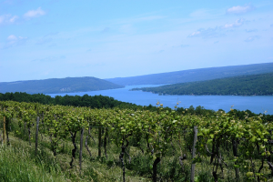 Kiwanis' 415 Mile Finger Lakes Virtual Challenge - 415 Mile Finger Lakes Challenge
