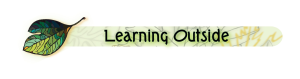 Learning Outside 5K Trail Run/Walk and Kids Race logo