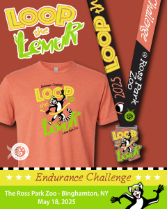 Loop the Lemur at the Ross Park Zoo logo