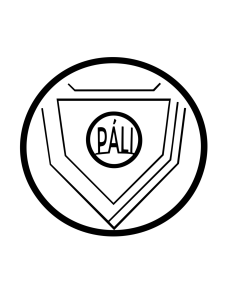 Mizuno | PÁLI Demo Run Collab - 10k Run / Walk logo