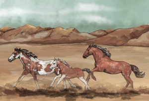 Mustang Discovery Trail 5000 Mile Challenge