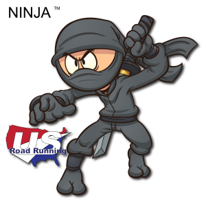 Ninja 5K &13.1 at Raleigh, NC (33) logo