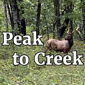 Peak to Creek - 50k