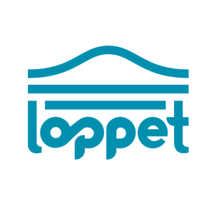 Private Ski Lessons logo