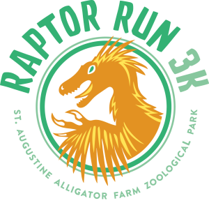 RAPTOR RUN 3K - Raptor Run 3K