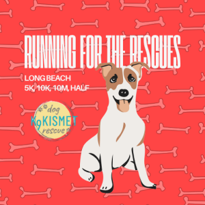 Running for the Rescues – 5K, 10K, 10-Miler, Half Marathon logo