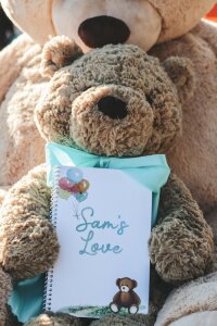Sam's Love logo