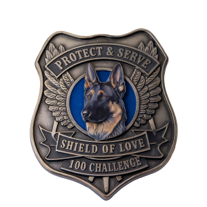 Shield of Love 100 Challenge