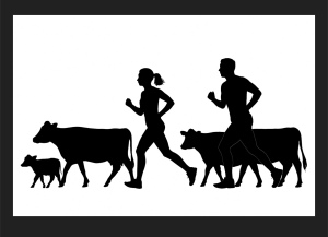 Soil Mates Trail Race logo