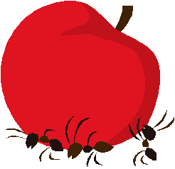 Springville Apple Run