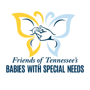 The Butterfly Run logo