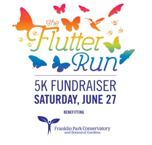 The Flutter Run