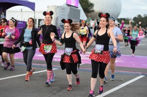 Theme Park Magic Miles