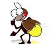 TISHOMINGO FIREFLY 5K & 1M FUN RUN, 8:20 p.m. - 5K