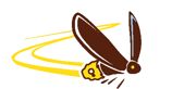 Trailblazer 5K logo