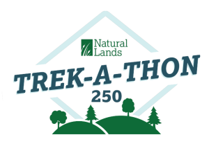 Trek-A-Thon 250